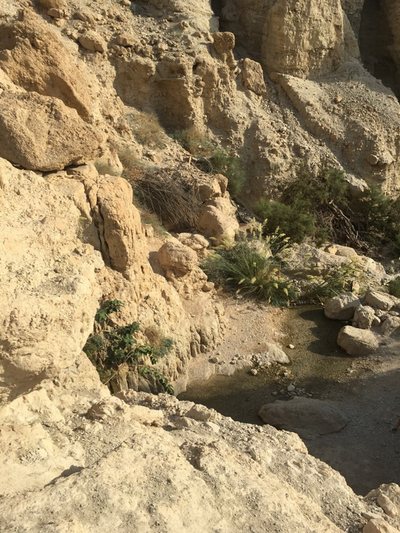 Mrtvé moře a Masada — fotografie z výletu