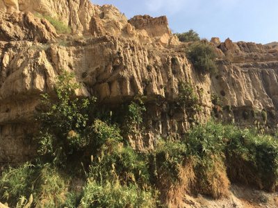 Mrtvé moře a Masada — fotografie z výletu